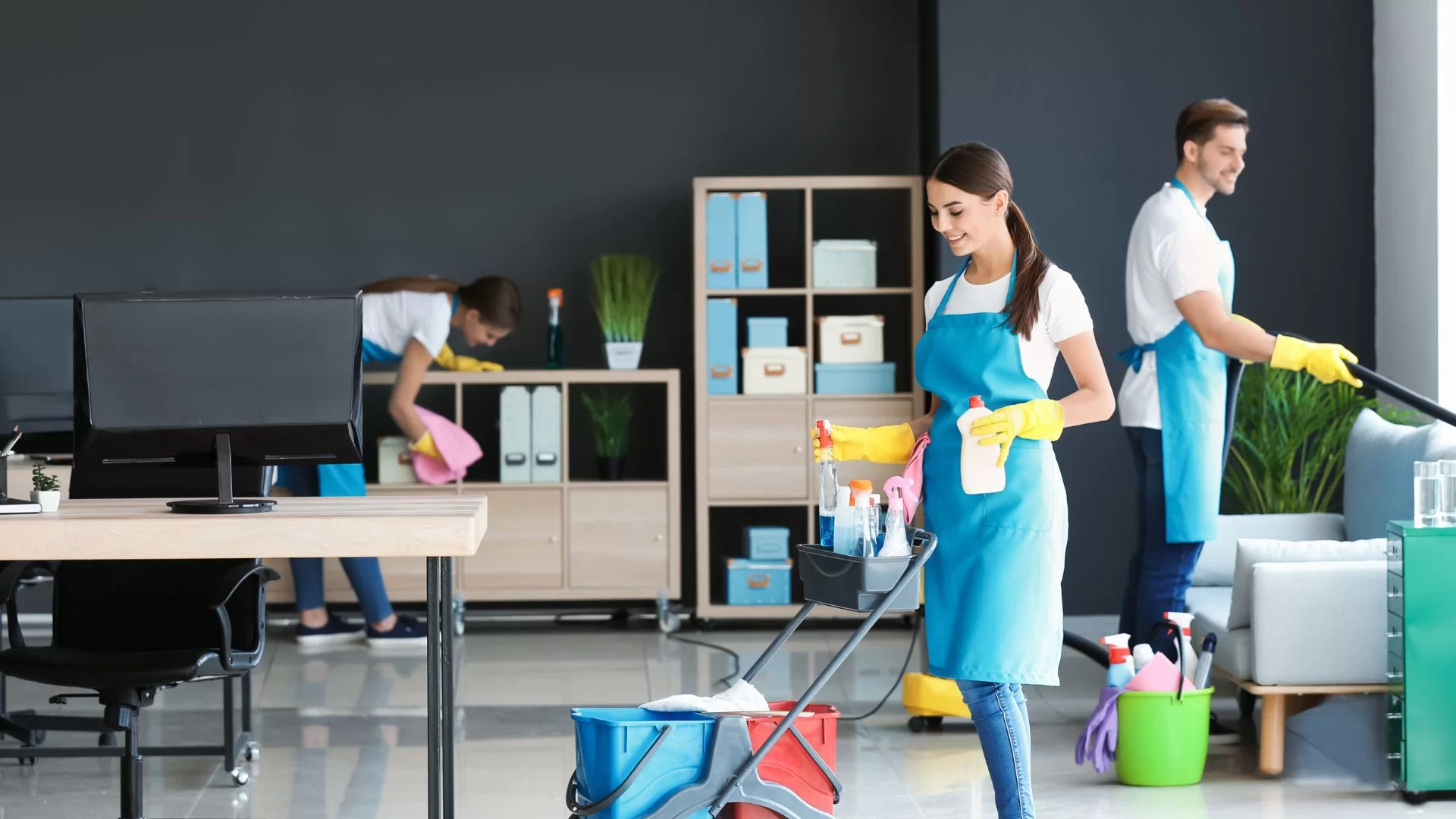 Professional cleaning service