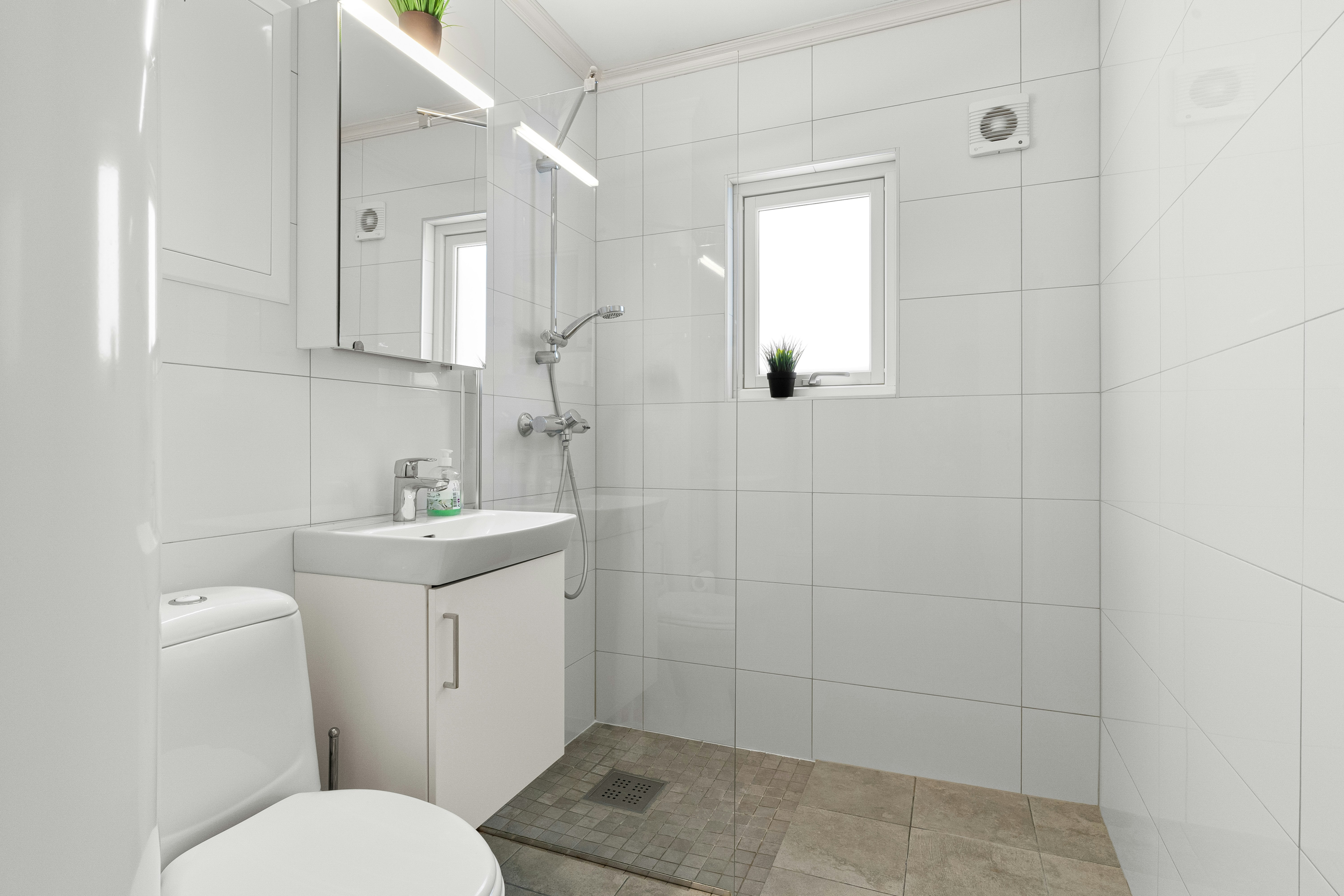 Cleaning Image